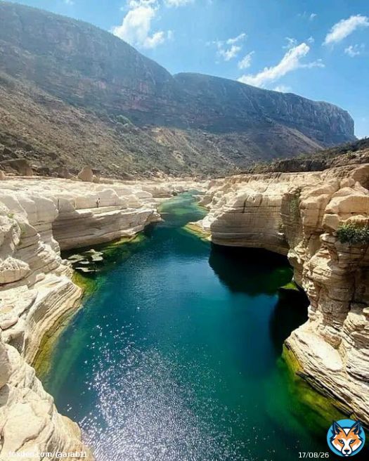 Socotra Island, Yemen