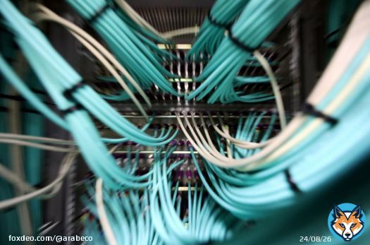 سوق العملات المستقرة تتراجع لأدنى مستوياتها في أكثر من عامين #كريبتو #باي_بال #عملات_مشفرة<bR>فشل طرح "باي بال هولدينغز" (PayPal Holdings) عملتها المستقرة، التي رُوّج لها على نطاق واسع، في الحد من انكماش قطاع الأصول الرقمية الذي يدعم تداول معظم العملات المشفرة.انخفض إجمالي القيمة السوقية للعملات المستقرة -وهي نوع من العملات الرقمية التي ترتبط قيمتها بفئة أصول أخرى مثل العملات الورقية- إلى <br>123. 8 مليار دولار في سبتمبر، وفق شركة "سي سي داتا" (CCData) للأبحاث. ليسجل أدنى مستوياته منذ أغسطس <br>2021. وبلغت قيمة القطاع <br>137. 9 مليار دولار في ديسمبر. تراجع نشاط سوق العملات المشفرةوجدت الشركة أن حجم تداول العملات المستقرة في البورصات المركزية مثل "كوين بيس غلوبال" انخفض <br>28. 4%، إلى 331 مليار دولار في سبتمبر، وهو أدنى إجمالي شهري منذ يوليو <br>2020. يأتي هذا الانكماش وسط انخفاض عام في نشاط سوق العملات المشفرة منذ أن اهتز القطاع بسبب الفضائح وحالات الإفلاس في <br>2022. وغالباً ما تُستخدم العملات المستقرة لتسهيل التداول بين العملات المشفرة وحماية الحيازات من تقلبات الأسعار."بنك أوف أميركا": رياح معاكسة تواجه عملة "باي بال" المستقرةوفي حين أن القيمة السوقية للعديد من العملات المستقرة -مثل "يو إس دي كوين" (USD Coin) و "بي يو إس دي" (BUSD)- واصلت الانخفاض؛ زادت عملة "يو إس دي تي"(USDT) الرائدة في القطاع التي تصدرها "تيذر" من هيمنتها، بحسب ما أظهرت بيانات "سي سي داتا".وببلوغ قيمتها السوقية <br>83. 4 مليار دولار؛ تمثل "يو إس دي تي" الآن <br>67. 3% من إجمالي سوق العملات المستقرة –وهي أعلى نسبة منذ مارس 2021، وفقاً للشركة.طرحت "باي بال" عملتها المستقرة في أغسطس، وهي الأولى من نوعها لشركة مالية كبيرة. وروج لها بعض المؤيدين على أنها دفعة كبيرة محتملة للاعتماد البطيء للرموز الرقمية للمدفوعات. تشير "كوين جيكو" (CoinGecko) لتتبع البيانات إلى أن القيمة السوقية للعملة تبلغ نحو 110 ملايين دولار.