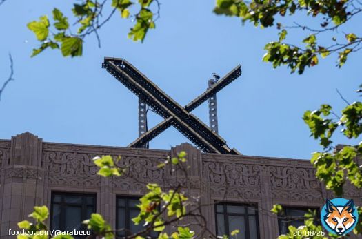 "X" تختبر 3 مستويات من الخدمة المدفوعة لتنشيط إيراداتها #تويتر #إيلون_ماسك #التواصل_الاجتماعي #إعلانات<bR>قالت شركة "X" المملوكة لإيلون ماسك، في تحديث للمصرفيين عن الجهود المبذولة لتنشيط إيراداتها، إنها تختبر ثلاثة مستويات من الخدمة المتميزة، التي ستمكن الشركة من تحصيل مبالغ متفاوتة من العملاء بحسب حجم الإعلانات التي يتم عرضها.سيتم تقسيم الخطة المتميزة، البالغة تكلفتها الشهرية حالياً 7.99 دولار، إلى خدمة بسيطة وقياسية وعالية، بحسب ما أعلنت الشركة خلال مؤتمر صحفي يوم الخميس، وفقاً لشخص تواصل عبر الهاتف.أضافت الشركة أنه في الوقت الذي يعود فيه المعلنون إلى منصة التواصل الاجتماعي المعروفة سابقاً باسم "تويتر"؛ فإنهم سيتحملون تكاليف أقل من ذي قبل.خلال المؤتمر الصحفي، قدمت الرئيسة التنفيذية ليندا ياكارينو، التي انضمت إلى الشركة في يونيو الماضي، نظرة عامة متفائلة. وقالت: "إن الإيرادات تنمو بأرقام فردية مرتفعة على أساس ربع سنوي مدفوعة بالإعلانات وتراخيص البيانات والاشتراكات".تدفق نقدي إيجابيأوضحت ياكارينو أنه باستثناء تكلفة خدمة الديون؛ فإن الشركة "تتمتع بالفعل بتدفق نقدي إيجابي، متوقعة أن نصل إلى هذا الإنجاز حتى مع تضمين الديون بحلول النصف الأخير من عام 2024".ستسمح الخطة ثلاثية المستويات للشركة بجذب المستهلكين ممن لا يرغبون في دفع السعر الكامل مقابل الخدمة المتميزة. طرح إيلون ماسك أيضاً فكرة فرض رسوم رمزية على كل من يستخدم المنصة، وهي خطوة قال إنها ستساعد على التخلص من الحسابات المزيفة.صفقة استحواذ ماسك على تويتر البالغة 44 مليار دولار أثقلت الشركة، التي تتخذ من سان فرانسيسكو مقراً لها، بديون بلغت 13 مليار دولار. وقد أثارت قراراته الشاذة وقواعد سلامة المحتوى الأكثر مرونة قلق بعض المعلنين.قبل استحواذ ماسك على الشركة وإعادة تسميتها بـ"X"، كانت "تويتر" تدر نحو 5 مليارات دولار من المبيعات سنوياً، 90% منها من الإعلانات. والآن يتعين على الشركة استعادة هذه الإيرادات، في ظل فائدة سنوية على ديونها تبلغ 1.2 مليار دولار، بحسب تقديرات سابقة لـ"بلومبرغ". عودة المعلنينتحدثت ياكارينو يوم الخميس عن عودة ما يقرب من 90% من أفضل 100 معلن على المنصة، مقارنة بـ75% فقط في يونيو. وأضافت أن الإنفاق على الإعلانات ليس عند مستوياته التاريخية، حيث تزيد الشركات ميزانياتها الخاصة بالإعلانات بشكل أكثر تحفظاً.يبدو أن الشركة ما تزال تواجه معركة شاقة لتهدئة المقرضين. فبعد عملية الاستحواذ؛ حاولت بعض البنوك تفريغ الديون مقابل 60 سنتاً فقط على الدولار. وفي وقت سابق من هذا العام، انخفضت قيمة الشركة إلى ثلث سعر الشراء، وفقاً لشركة "فيديليتي".فيدلتي: قيمة تويتر الحالية تساوي ثلث ما دفعه ماسك لشرائهامنذ استحواذ ماسك في أكتوبر 2022؛ تخلت المنصة الاجتماعية عن أكثر من 75% من موظفيها، وأوقفت الخدمات، وأطلقت اشتراكاً مميزاً في محاولة لاستعادة توازنها المالي. كما تحدث ماسك بثقة عن تحويل "X" إلى تطبيق يشمل كل شيء، ويمكنه تحقيق إيرادات من ميزات مثل التسوق والمدفوعات.خطط لجلب المشاهيركانت ياكارينو في السابق رئيسة لقسم الإعلانات في "إن بي سي يونيفرسال ميديا" (NBCUniversal Media LLC)، حيث اكتسبت خبرتها في جذب العلامات التجارية الكبرى. ذكرت صحيفة "فايننشال تايمز" أنها وماسك قدما خلال الصيف للمستثمرين خططاً لجلب المشاهير والشخصيات السياسية إلى المنصة، وتسهيل المزيد من التجارة والمدفوعات بين المستخدمين.ساعدت جهود الرئيسة التنفيذية للشركة في توقيع صفقة جديدة مع "باريس هيلتون" و"11:11 ميديا" هذا الأسبوع للترويج للتسوق على المنصة، فضلاً عن فيديو عن المنتجات.ظهرت تلميحات الخدمة الجديدة ثلاثية المستويات لأول مرة في الكود البرمجي لتطبيق "تويتر". يشير الكود إلى أن خطة المستوى الأساسي ستشمل الكمية العادية من الإعلانات، بينما ستعرض الخطة القياسية نصف عدد الإعلانات، أما المستوى الأعلى؛ فسيحجب كل الإعلانات.تم اكتشاف الوصف من قبل مستخدم يدعى (Aaronp613)، وهو من عشاق التطبيقات، حيث يفحص الأكواد البرمجية داخل تطبيق "أيفون" الشهير بهدف البحث عن الميزات المستقبلية.