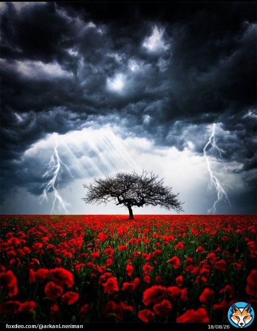 Good evening. Lightning, Thunder and Rain Clouds. #NaturePhotograhpy .   Kathrin Federer
