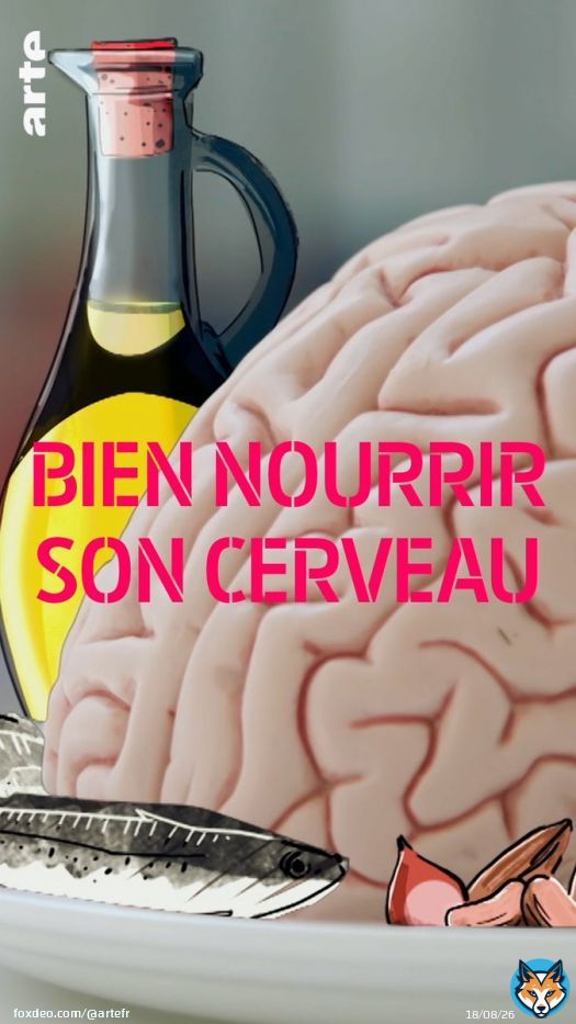 Un esprit sain dans un corps sain : une phrase qu'il faut garder &agrave; l'esprit, justement, avant de se nourrir