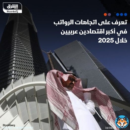 يُتوقع أن ترتفع الرواتب في #السعودية العام المقبل بنسبة 2% بمختلف القطاعات، مدفوعة بالتخطيط المالي الدقيق واستثمارات ضخمة في قطاعات غير نفطية من قبل #صندوق_الاستثمارات_العامة السعودي، وفق تقرير دليل الرواتب لعام 2025 الصادر عن 'كوبر فيتش' - في #الإمامارات، يشير مسح آخر أجرته مؤسسة 'ميرسير' إلى أن رواتب العاملين بجميع القطاعات ستزيد بنسبة 4% العام المقبل. كما توقعت الدراسة أن أكثر من ربع الشركات تخطط لزيادة أعداد الموظفين لديها في 2025 التفاصيل:
