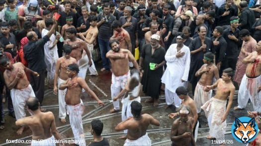 'Muharram on my street&hellip; not women friendly but it is what it is&hellip;' Netizens respond after Saba Naqvi's propaganda/defaming tweet On Holi, a Hindu festival.  #Muharram  #Women&rsquo;s Day