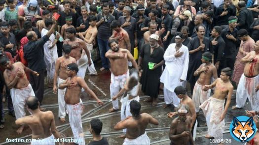 'Muharram on my street&hellip; not women friendly but it is what it is&hellip;' Netizens respond after Saba Naqvi's propaganda/defaming tweet On Holi, a Hindu festival.  #Muharram  #Women&rsquo;s Day