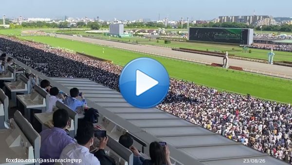 Ready to rumble (sound on!)  \ud83c\uddef\ud83c\uddf5  \ud83c\udfc7\ud83c\udffb  #日本ダービー #東京優駿 #競馬