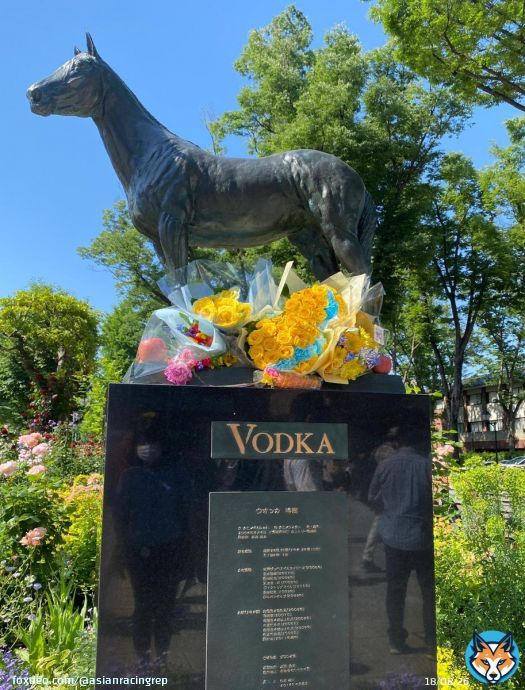 Memorial for the mighty Vodka, with offerings from Derby day fans.   #ウオッカ #競馬 #日本ダービー #東京優駿