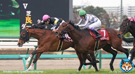 Ask Victor More has emulated his sire Deep Impact, holding off Boldog Hos and Justin Palace to win a thrilling edition of the G1 Kikuka Sho at Hanshin. #菊花賞 #アスクビクターモア