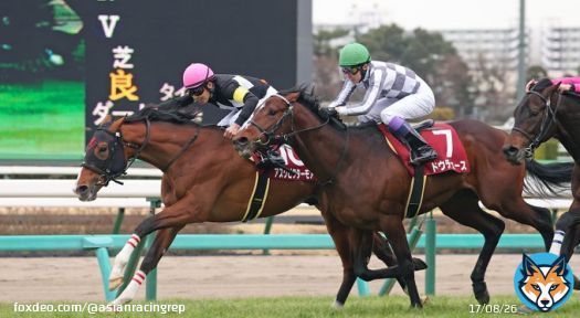 Ask Victor More has emulated his sire Deep Impact, holding off Boldog Hos and Justin Palace to win a thrilling edition of the G1 Kikuka Sho at Hanshin. #菊花賞 #アスクビクターモア