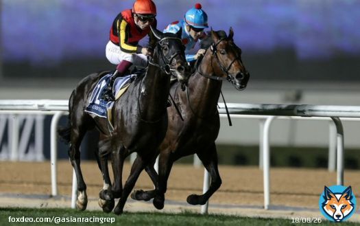 'When he came back in the Tenno Sho, he wasn&rsquo;t 100 per cent ready so I think he will improve from that race into the Japan Cup.&rdquo; @CristianDemuro on his Japan Cup hope Shahryar. #シャフリヤール #ジャパンカップ  #クリスチャン・デムロ