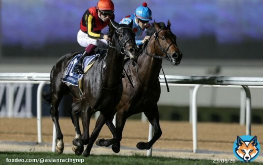 'When he came back in the Tenno Sho, he wasn&rsquo;t 100 per cent ready so I think he will improve from that race into the Japan Cup.&rdquo; @CristianDemuro on his Japan Cup hope Shahryar. #シャフリヤール #ジャパンカップ  #クリスチャン・デムロ