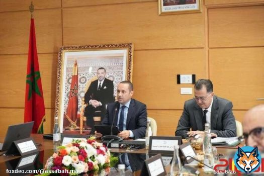 التهراوي يترأس المجلس الإداري للمجموعة الصحية الترابية بطنجة-تطوان-الحسيمة
