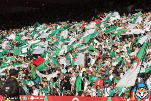  كأس العالم … تحذيرات أمنية كندية من سلوك بعض مشجعي الجزائر بعد حوادث في أمريكا
