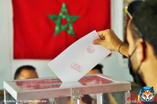 الميركاتو السياسي: تجارة الولاءات وفلسفة الوقت الضائع