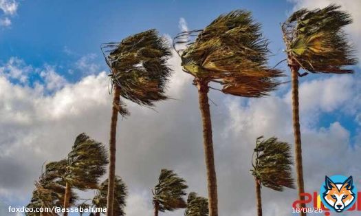 زخات رعدية ورياح وموجة حر من الثلاثاء إلى الجمعة (نشرة إنذارية)