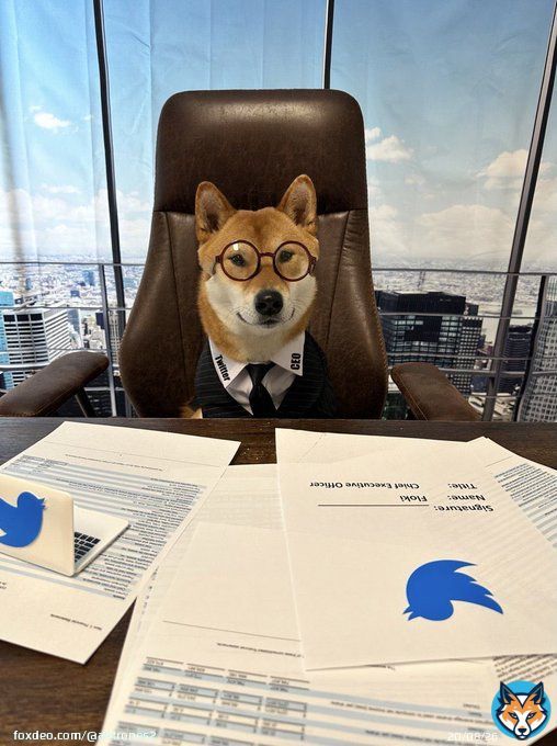 The new CEO of Twitter is amazing- $FLOKI  Twitter to let users trade #Bitcoin&nbsp; and crypto starting today in partnership with eToro  @elonmusk in an interview with the BBC, &ldquo;I keep telling you I&rsquo;m not the CEO, my dog is the CEO of Twitter.&rdquo;  Bullish on $floki
