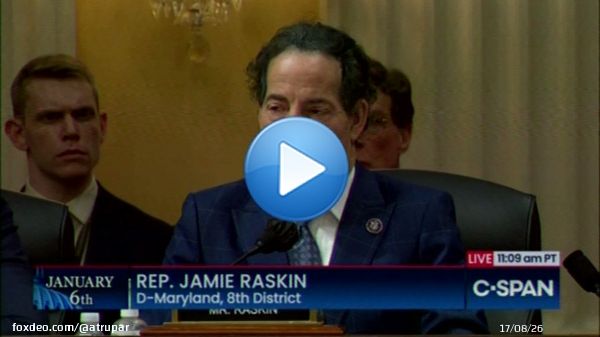 Raskin: 'POTUS has an affirmative and primary constitutional duty to act to take care that the laws be faithfully executed. Nothing could be a greater betrayal of this duty than to insist in insurrection against the constitutional order.'