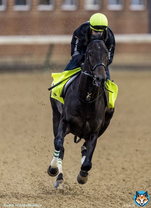 Final @KentuckyDerby preparations for Crown Pride! #KyDerby #競馬 #ケンタッキーダービー