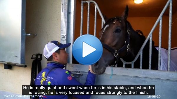 Titleholder #タイトルホルダー Japan's Arc hero this Sunday?  Get to know the Japanese superstar ready to take @paris_longchamp by storm! #凱旋門賞 #QPAT