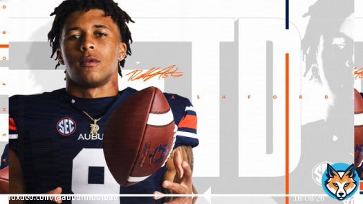 AUBURN STRIKES FIRST!!!  ROBBY ASHFORD!!! 23 yard rushing TD