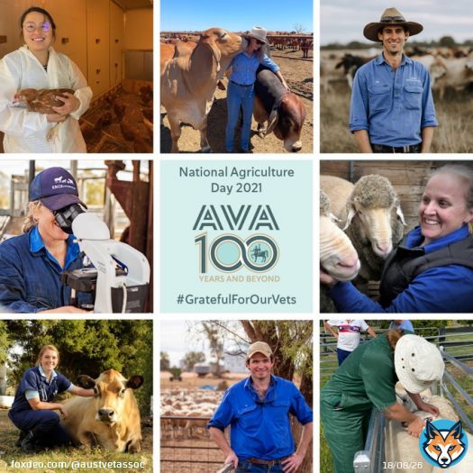 It's National Agriculture Day!   Being a veterinarian in the ag sector is an #AgVenture - a rewarding, fulfilling and diverse career that can take you anywhere!  We are #GratefulForOurVets working in ag - thank you   #AgDayAU
