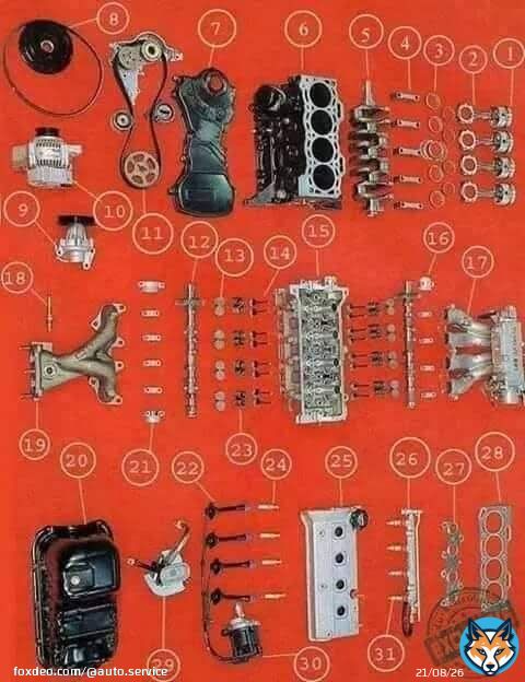 اجزاء المحرك - بالعربية و الفرنسية 1- المكبس -piston 2- ذارع المكبس- bielle 3- شنابر- segments 4- لقم عمود المرفق ( الكرنك شيف ) 5- عمود المرفق- vilebrequin 6- كتلة الاسطوانات - bloc-cylindres 7- غطاء صدر- cache courroie 8- سير الدينمو و بكرة- pouliecourroie + 9- شداد سير- tendeur 10 - دينمو - alternateur 11- سير عمود الكامات و بكره ( عمود كامات و الزيت )و شداد سير الكامات - courroie + pignon + poulies 12- عمود الكامات- arbre à cames 13 - قاعدة سنبرك الصمام - poussoirs 14- صمامات- soupapes 15- راس المحرك- culasse 16- لقم عمود الكامات ( الكام شفت ) 17- مجمع الوقود ( الثلاجه )- collecteur d'admission 18 - حساس الحراره- capteur de température 19- انابيب العادم-collecteur d'échappement 20- �