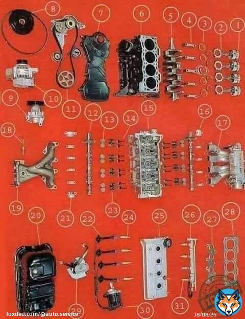 اجزاء المحرك - بالعربية و الفرنسية 1- المكبس -piston 2- ذارع المكبس- bielle 3- شنابر- segments 4- لقم عمود المرفق ( الكرنك شيف ) 5- عمود المرفق- vilebrequin 6- كتلة الاسطوانات - bloc-cylindres 7- غطاء صدر- cache courroie 8- سير الدينمو و بكرة- pouliecourroie + 9- شداد سير- tendeur 10 - دينمو - alternateur 11- سير عمود الكامات و بكره ( عمود كامات و الزيت )و شداد سير الكامات - courroie + pignon + poulies 12- عمود الكامات- arbre à cames 13 - قاعدة سنبرك الصمام - poussoirs 14- صمامات- soupapes 15- راس المحرك- culasse 16- لقم عمود الكامات ( الكام شفت ) 17- مجمع الوقود ( الثلاجه )- collecteur d'admission 18 - حساس الحراره- capteur de température 19- انابيب العادم-collecteur d'échappement 20- �