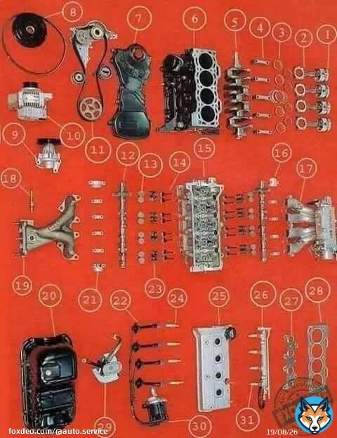 اجزاء المحرك - بالعربية و الفرنسية 1- المكبس -piston 2- ذارع المكبس- bielle 3- شنابر- segments 4- لقم عمود المرفق ( الكرنك شيف ) 5- عمود المرفق- vilebrequin 6- كتلة الاسطوانات - bloc-cylindres 7- غطاء صدر- cache courroie 8- سير الدينمو و بكرة- pouliecourroie + 9- شداد سير- tendeur 10 - دينمو - alternateur 11- سير عمود الكامات و بكره ( عمود كامات و الزيت )و شداد سير الكامات - courroie + pignon + poulies 12- عمود الكامات- arbre à cames 13 - قاعدة سنبرك الصمام - poussoirs 14- صمامات- soupapes 15- راس المحرك- culasse 16- لقم عمود الكامات ( الكام شفت ) 17- مجمع الوقود ( الثلاجه )- collecteur d'admission 18 - حساس الحراره- capteur de température 19- انابيب العادم-collecteur d'échappement 20- �
