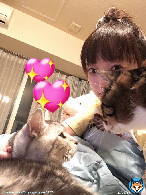 寝起きすっぴん髪の毛ボーで猫に埋もれながら競馬をやる 幸せタイム まさかの2週連続当たる奇跡  きさらぎ賞 フリームファクシとオープンファイア軸に3と5の三連複2点買い &uarr;3連単にすればよかった 東京新聞杯 難しいからナミュール軸に14と16のワイド2点買い  どうしよう 冴えてる