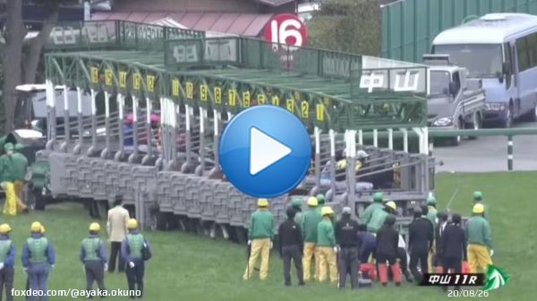 ターコイズステークス レース結果  ミスニューヨーク 連覇達成！  1着 \u246c番 ミスニューヨーク (2番人気) 2着 \u246e番 ウインシャーロット (4番人気) 3着 \u246f番 フィアスプライド (12番人気)  #ターコイズS