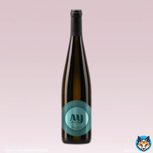\ud83e\udd42Today my second baby is born \ud83e\udd42This amazing Ay-Unfiltered dry Riesling wine is naturally made at bio-dynamic winery @alsace_charles_frey , Dambach-la-Ville, France.Order yours now, you can find the link in my bio. #thankful #cha#chaseyourdreams #lovelife #newchapter #wine #winelover #riesling #rieslingwine #rieslingwine #rieslinglover #rieslingrocks #alsace #winenot #limited #drinkresponsibly