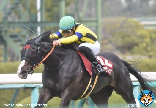 フィリーズレビュー&times;シングザットソング 吉田隼人騎手 マニュアルモードでいいのが撮れたのはこれだけかな。