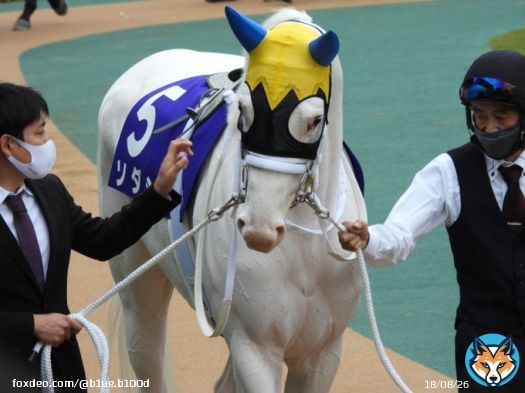 ソダシちゃんお誕生日おめでとう 今年も怪我なく元気いっぱいに頑張ってね ずーっと応援してるよ #ソダシ #ソダシ生誕祭 #ソダシ生誕祭2023 写真は昨年の自分が見に行ったソダシちゃん VM、府中牝馬、マイルCS 今年はどれくらい応援行けるかしら