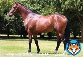 Busy Week Kicks Off At Ballarat. 'Nice and bright' is how Plymouth pulled up from his excellent and unlucky run in Saturday's Gr.1 Rosehill Guineas... Read the full article here: