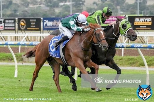 First Flies! Relishing the step up to 2000m, the promising mare First Appearance recorded a barnstorming impressive victory at Pakenham on Thursday evening. Full article: