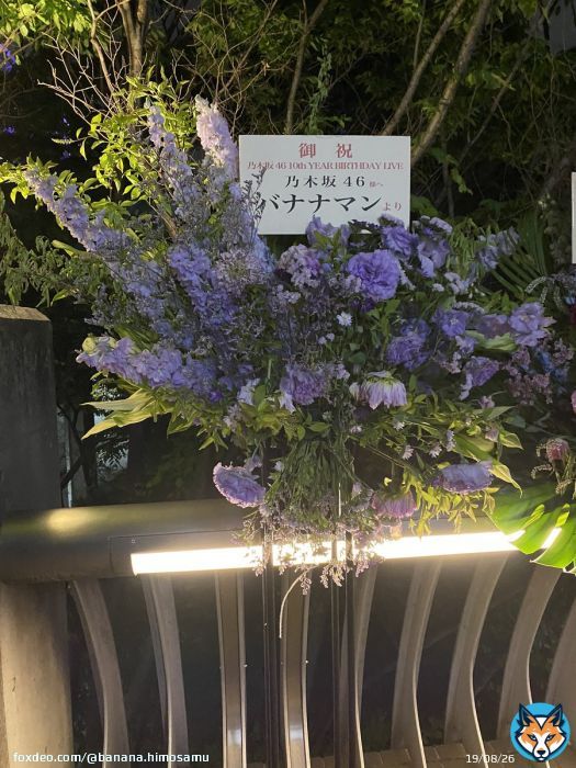 初めての乃木坂ライブがこんなに豪華になるとは、、 皆さんお疲れ様でした！ バナナマンもしっかり来てましたね！ (夜に光り輝くバナナマン祝花) #乃木坂10thバスラ  #バナナマン