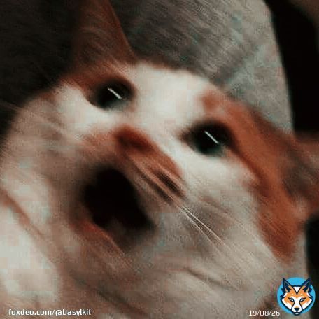 Буданов: ........... русня: