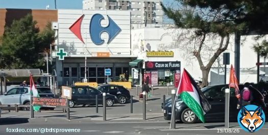 Tiens! @CarrefourFrance  met en place un panier anti-inflation! A quand le panier anti-apartheid? Et surtout quand quittez-vous #IsraeliApartheid ? @bompard
