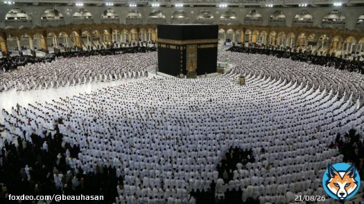 We don't need a kid like @MbSofKSA  #stopinsulting_prophetmohammad