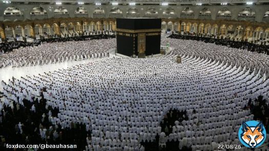 We don't need a kid like @MbSofKSA  #stopinsulting_prophetmohammad