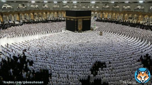 We don't need a kid like @MbSofKSA  #stopinsulting_prophetmohammad