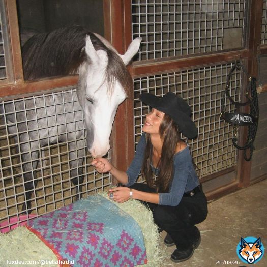 Photo by Bella \ud83e\udd8b on February 16, 2024. May be an image of 1 person, horse, pony, donkey and text that says 'ANGEL HIVG'.