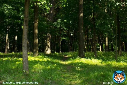 Какой сегодня праздник: 12 июня 2023 года #Луна #календарь #народные_приметы
