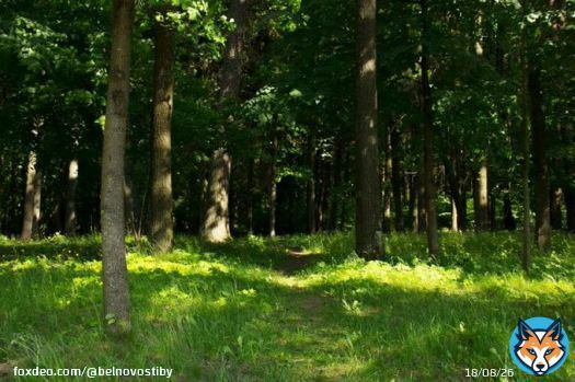 Какой сегодня праздник: 12 июня 2023 года #Луна #календарь #народные_приметы