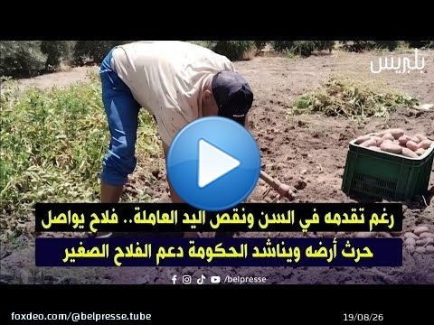 رغم تقدمه في السن ونقص اليد العاملة.. فلاح يواصل حرث أرضه ويناشد الحكومة دعم الفلاح الصغير