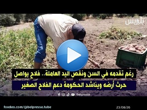 رغم تقدمه في السن ونقص اليد العاملة.. فلاح يواصل حرث أرضه ويناشد الحكومة دعم الفلاح الصغير