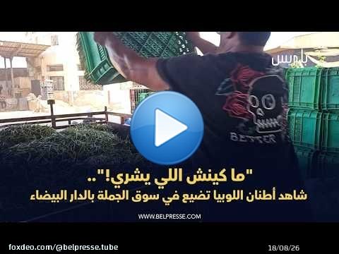 'ما كينش اللي يشري'.. شاهد أطنان اللوبيا تضيع في سوق الجملة بالدار البيضاء