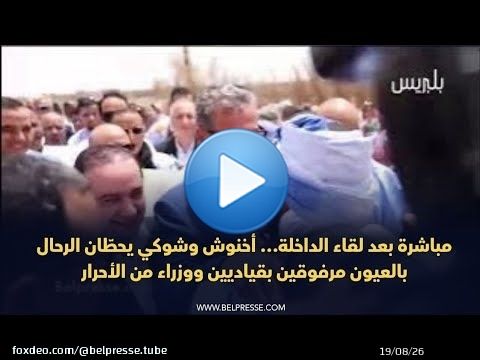 مباشرة بعد لقاء الداخلة… أخنوش وشوكي يحطّان الرحال بالعيون مرفوقين بقياديين ووزراء من الأحرار