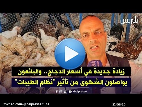 زيادة جديدة في أسعار الدجاج.. والبائعون يواصلون الشكوى من تأثير 'نظام الطيبات'