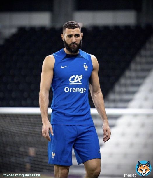 De ma vie je n&rsquo;ai jamais abandonn&eacute; mais ce soir il faut que je pense &agrave; l&rsquo;&eacute;quipe comme je l&rsquo;ai toujours fait alors la raison me dit de laisser ma place &agrave; quelqu&rsquo;un qui pourra aider notre groupe &agrave; faire une belle Coupe du Monde. Merci pour tous vos messages de soutien