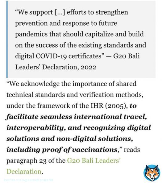 G20 - BREAKING: leaders have just signed a declaration which states that vaccine passports will be adopted to &ldquo;facilitate&rdquo; all international travel  This means any vaccination the WHO determines you should have.  Changing your rights & freedoms forever.  Silence from the media.